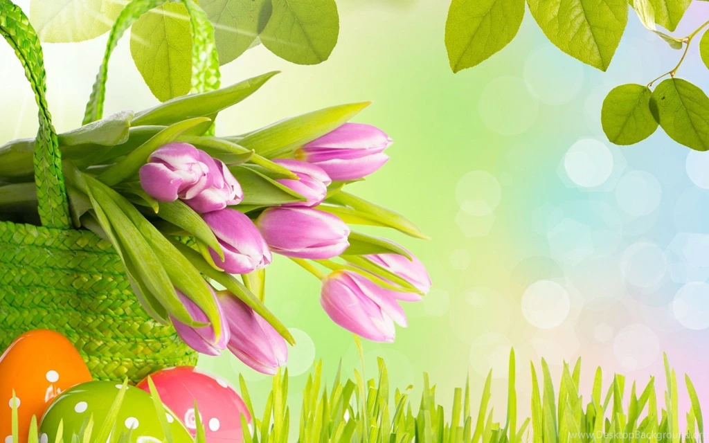 Top Easter Flowers Hd Wallpaper Images For Pinterest