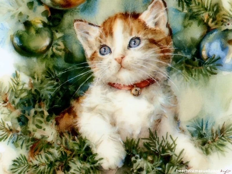 Christmas Cat 01 Wallpapers