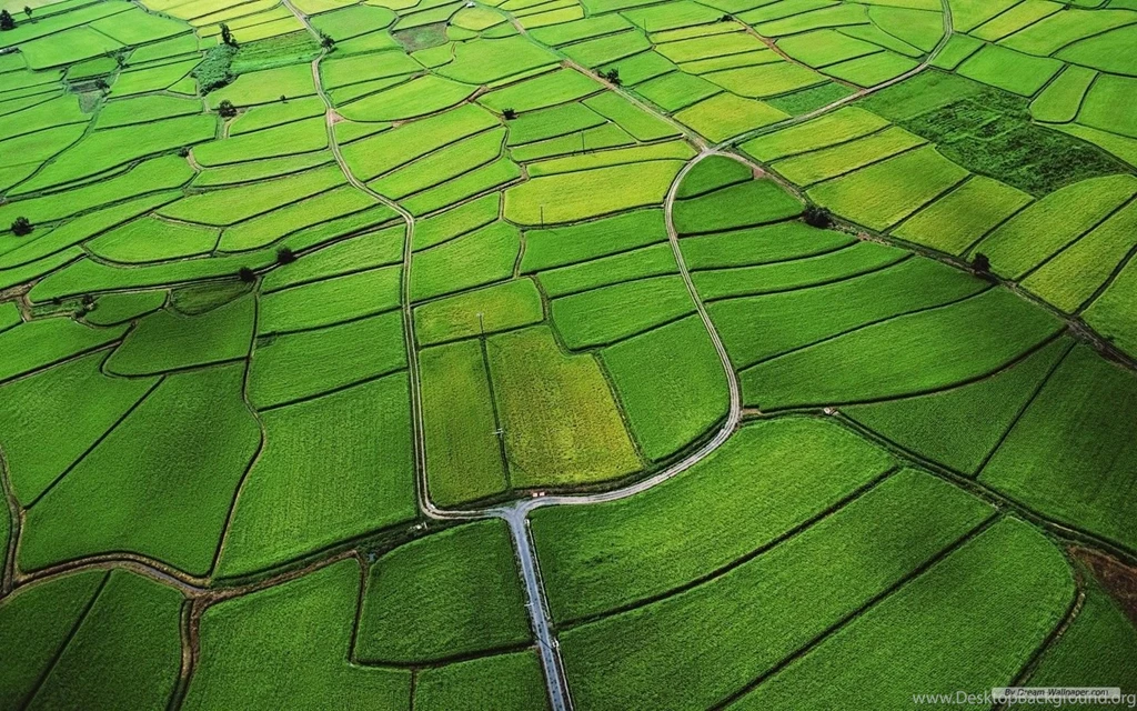 Free Wallpapers   Free Nature Wallpapers   Mac OS X Mountain Lion ...