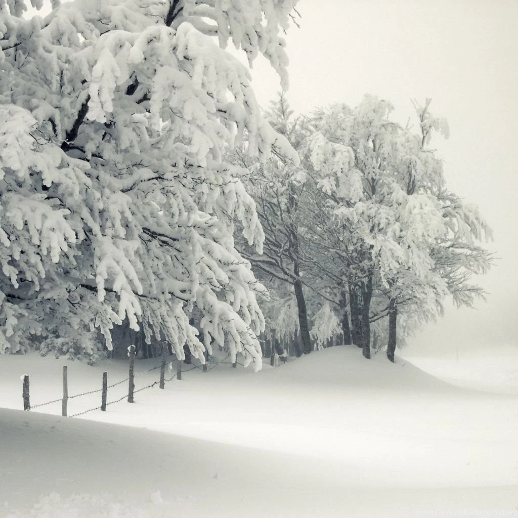 Snowy Landscape HD Desktop Wallpapers : High Definition ...