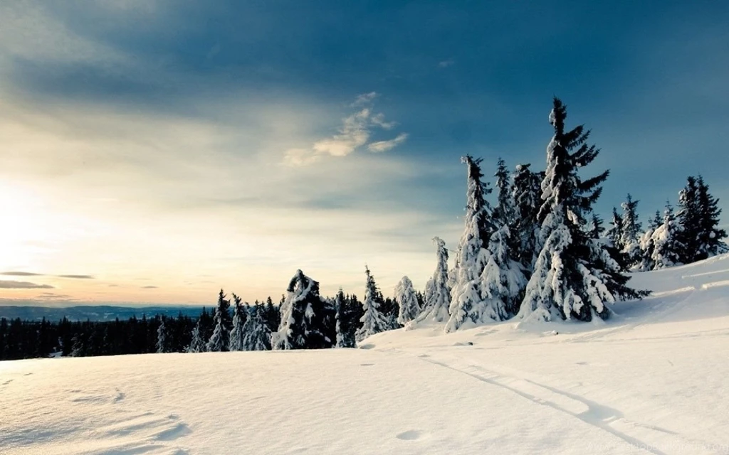 1280x800 Nice Snow Landscape Desktop PC And Mac Wallpapers