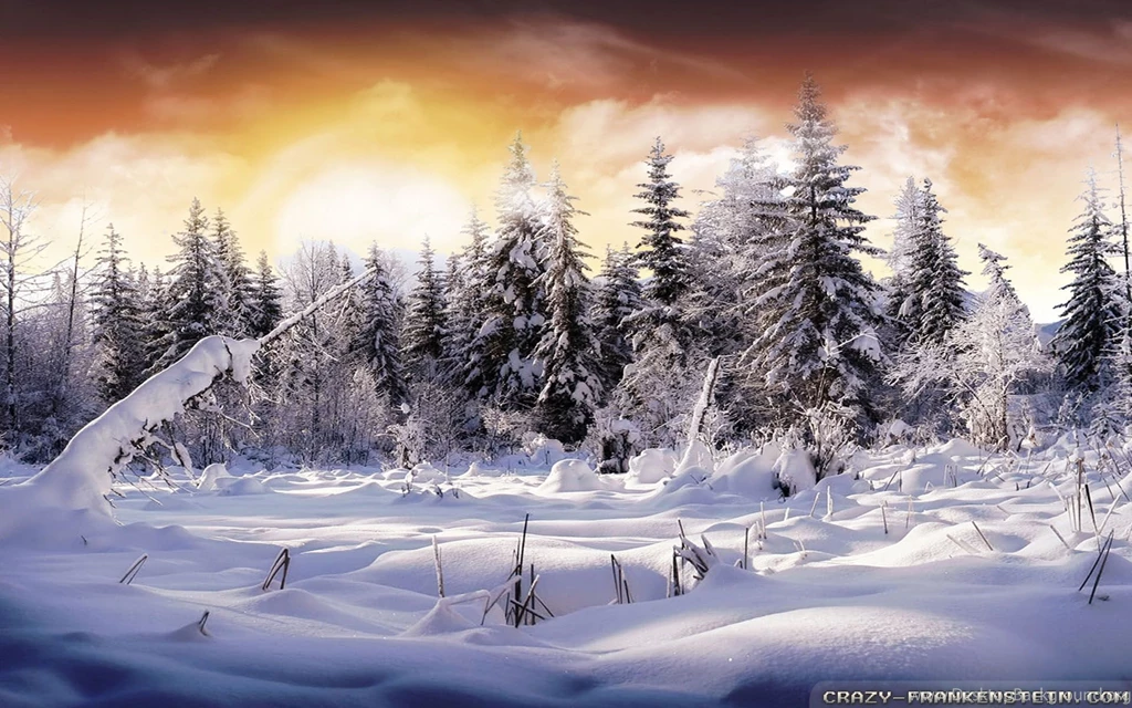 Winter Landscape Wallpapers 3   Crazy Frankenstein