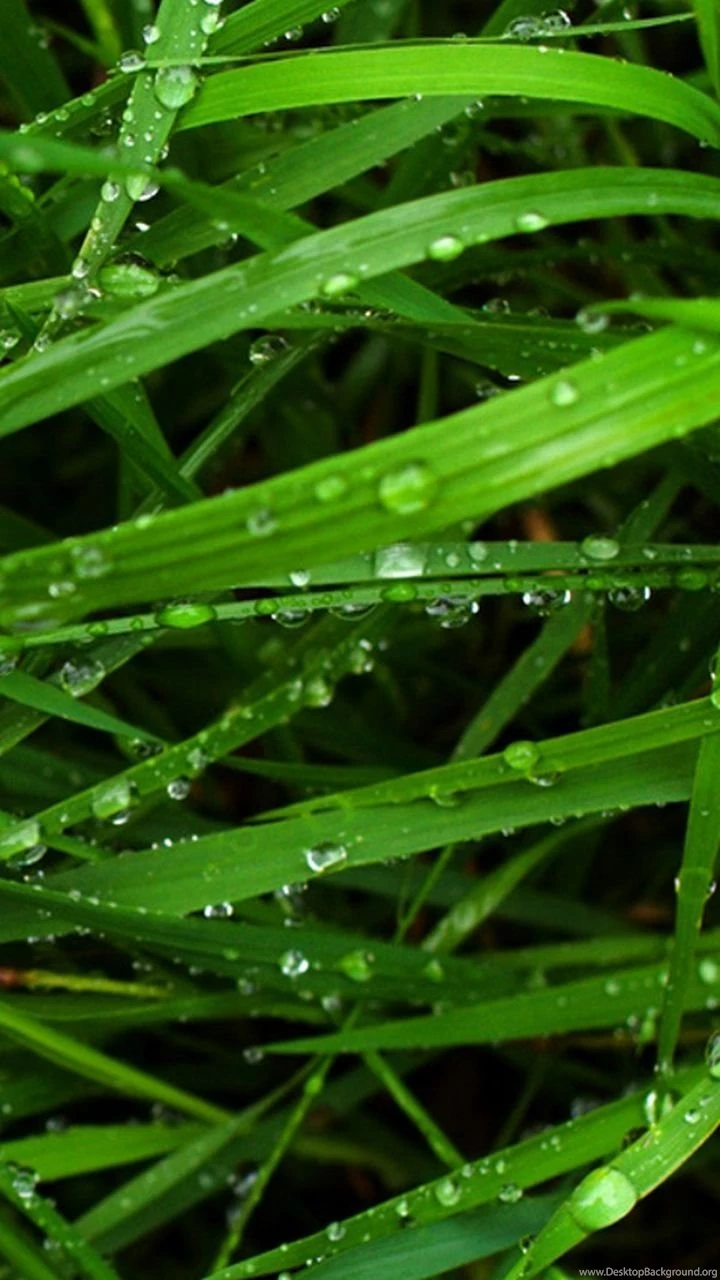 Galaxy S3 Wallpapers HD   Beautiful, Stunning Wallpapers