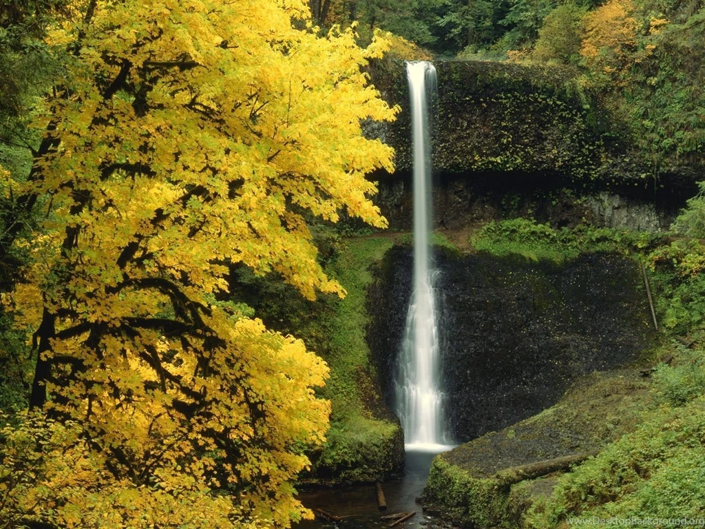 Nature Wallpapers Hd Iphone 4