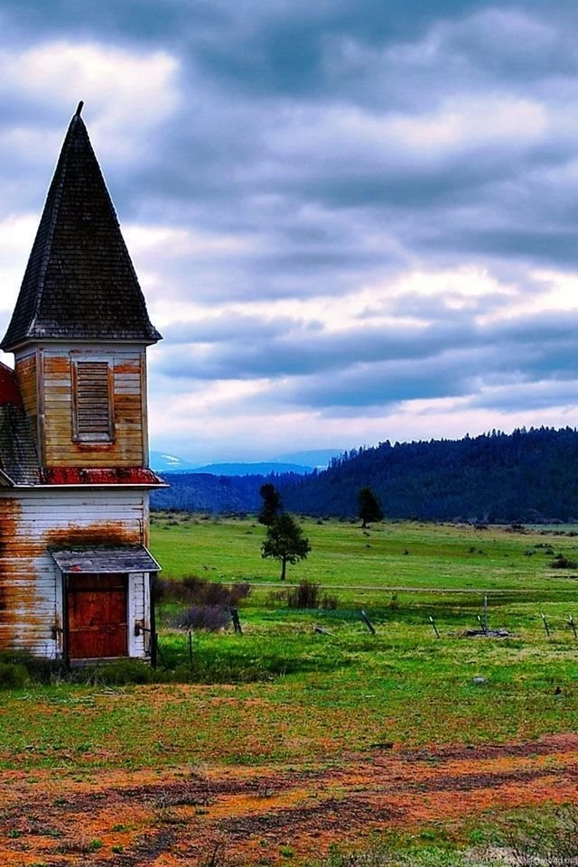 Nature Of The Wild 123mobileWallpapers.com