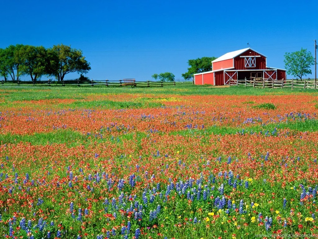 Texas Desktop Wallpapers