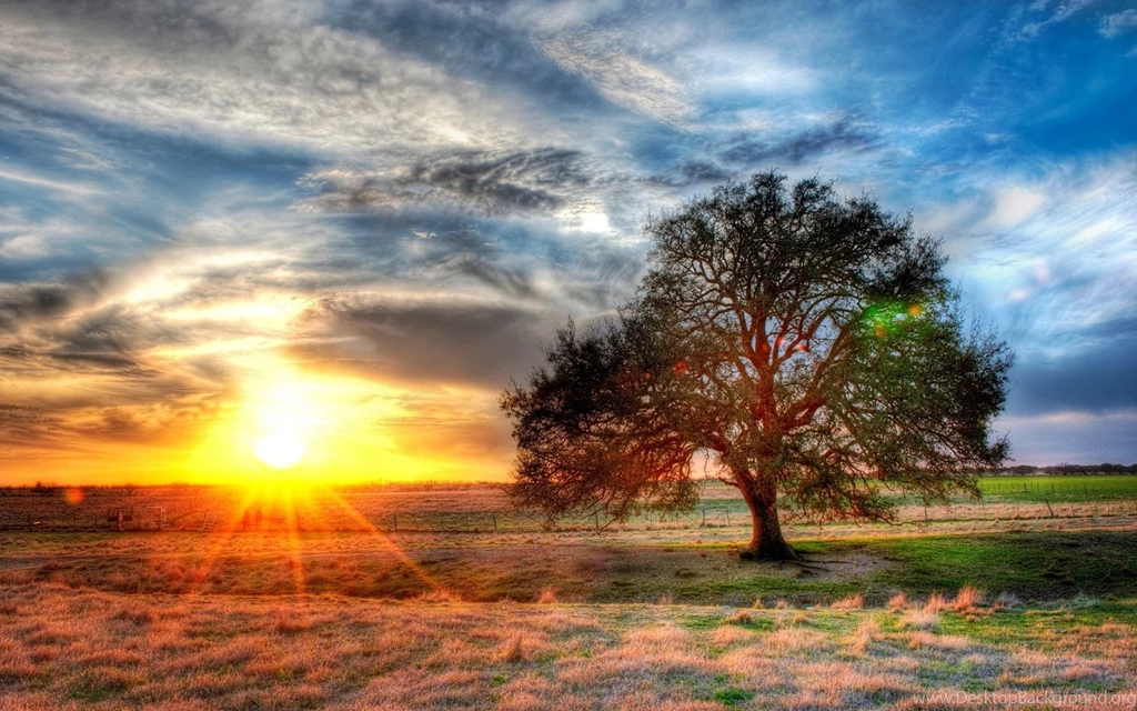 Texas Wallpapers
