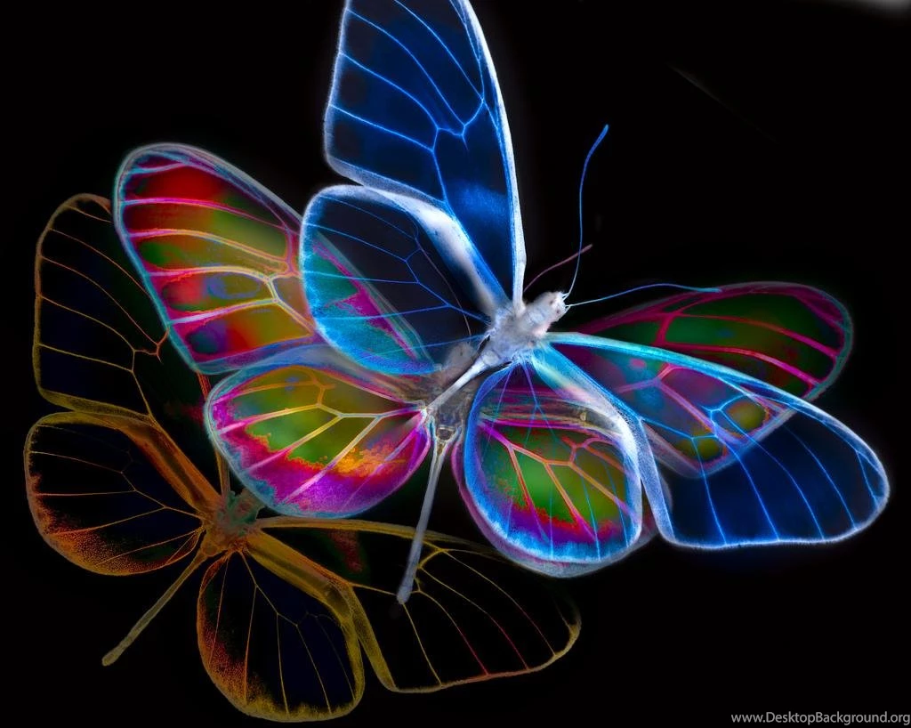 Top Awesome Neon Background Images For Pinterest