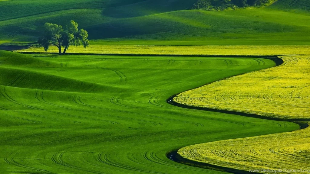 Download Free Wallpapers For Laptop Desktop Backgrounds