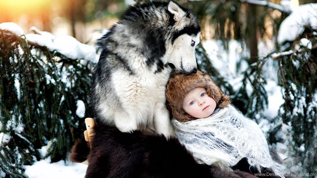 Full HD 1080p Dog Wallpapers HD, Desktop Backgrounds 1920x1080 ...