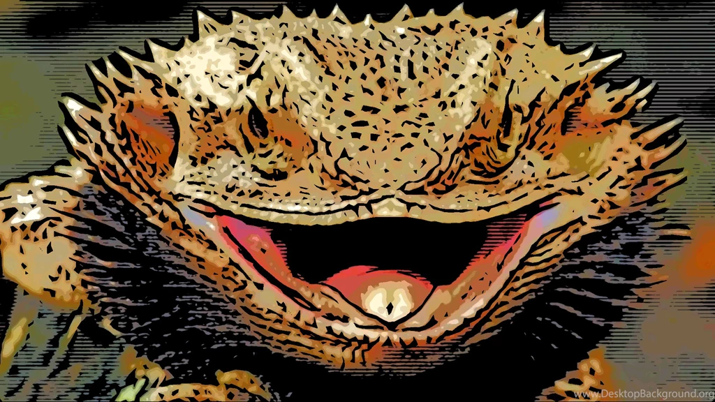 Bearded Dragon Animal Wallpapers HD