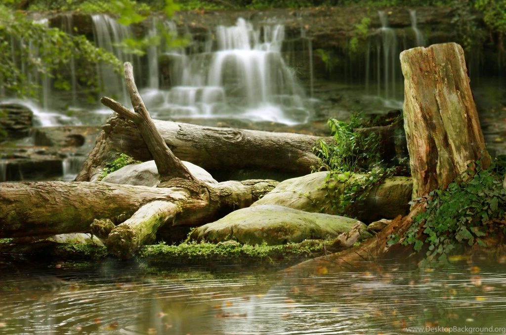 Top Waterfall In Forest Background Images For Pinterest
