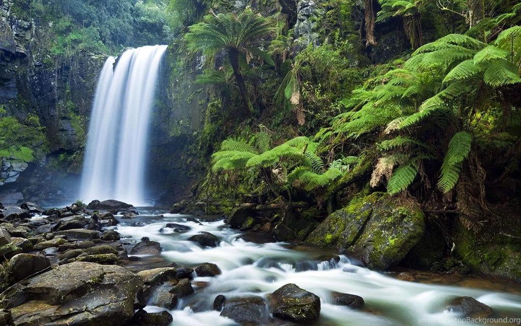 Waterfall Wallpaper Backgrounds