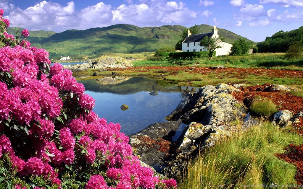 Nature Full Hd Wallpapers