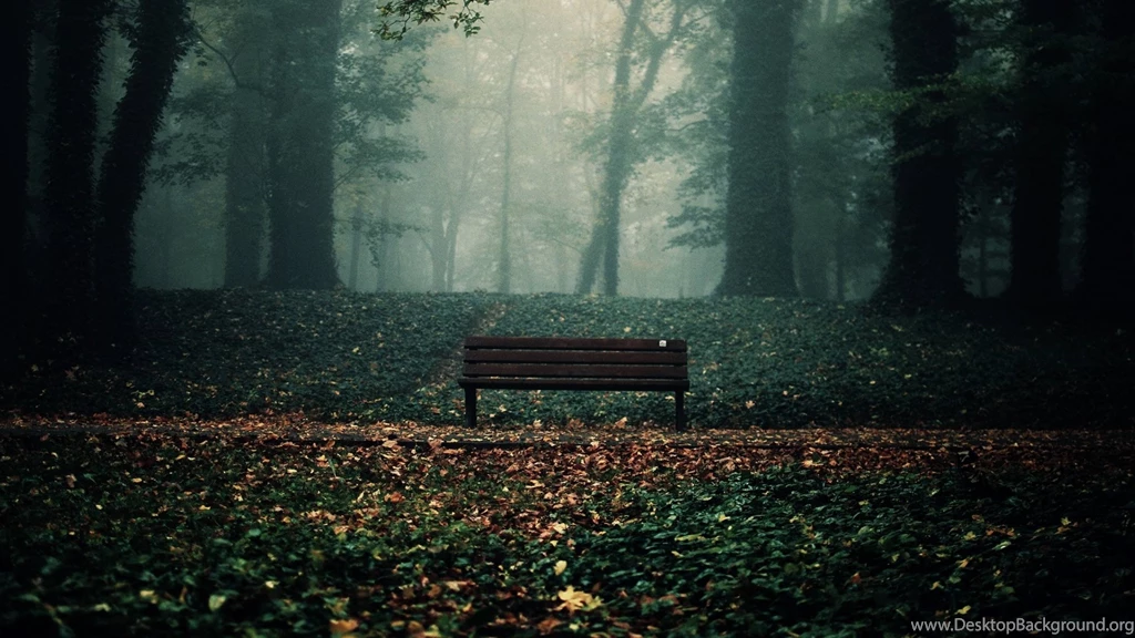Old Bench On Nature Wallpapers Full HD