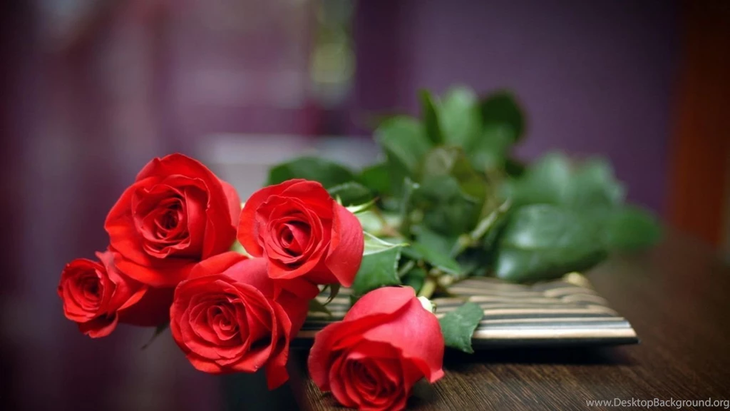 Desktop Red Rose Wallpapers HD   CuteWallpaper.org