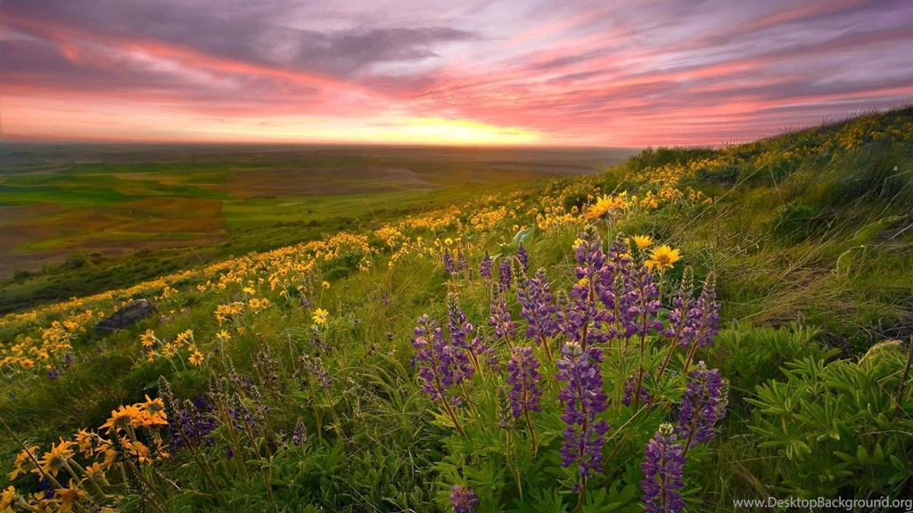 For 1080p Widescreen LCD Monitor HD Beautiful Landscape 1920 ...