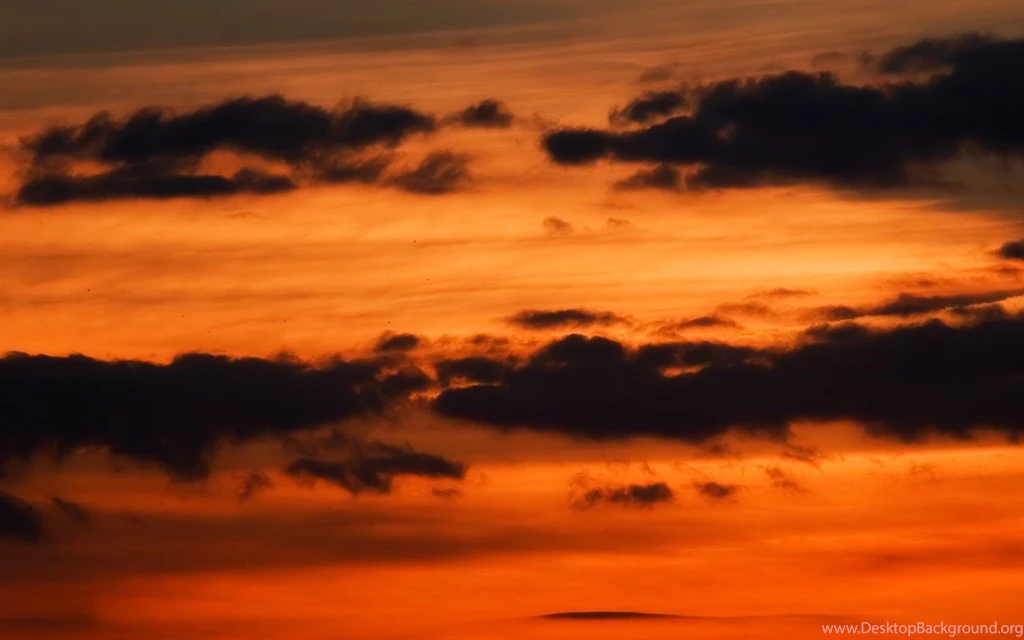 Golden Sky In The Evening Desktop Backgrounds 1680x1050 Pixels