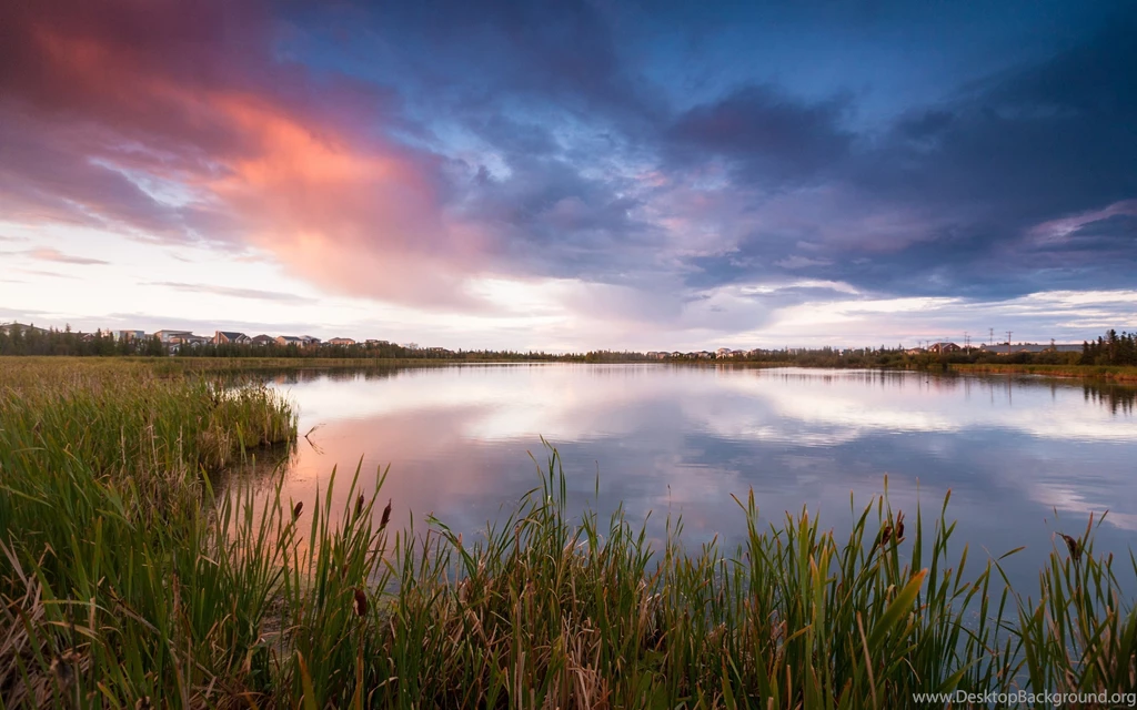 Download Wallpapers 3840x2400 Canada, Lake, Grass, Reeds, Houses ...