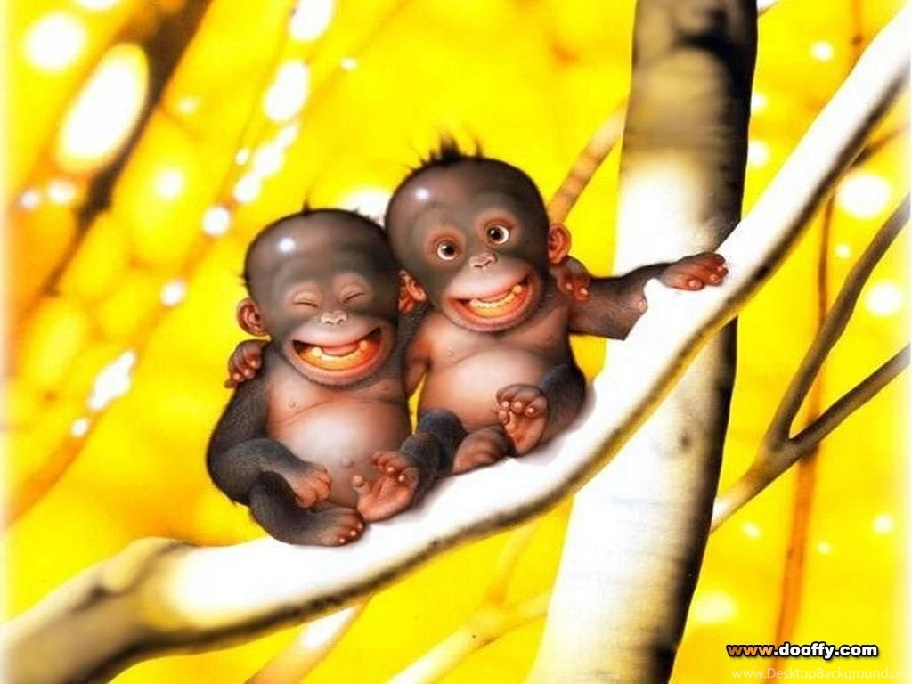 Funny Baby Monkey Pictures 1 High Definition : Widescreen Wallpapers