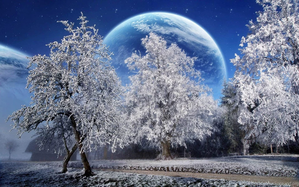 Winter season hd free wallpapers for desktop