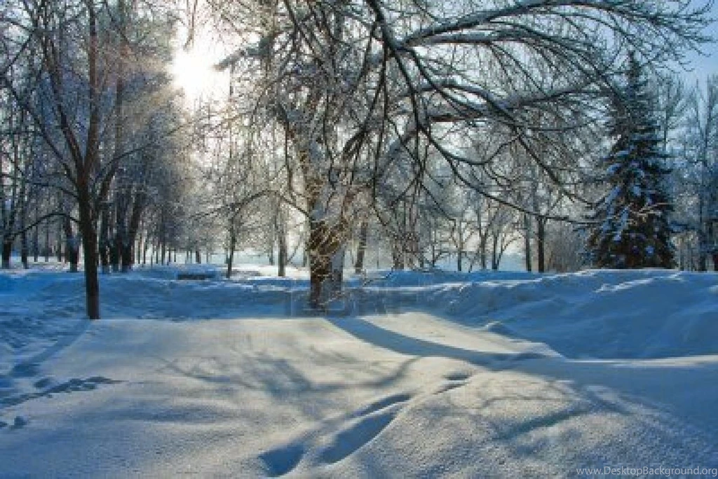 Nature Winter Wallpapers Free Download PC   Online Fun