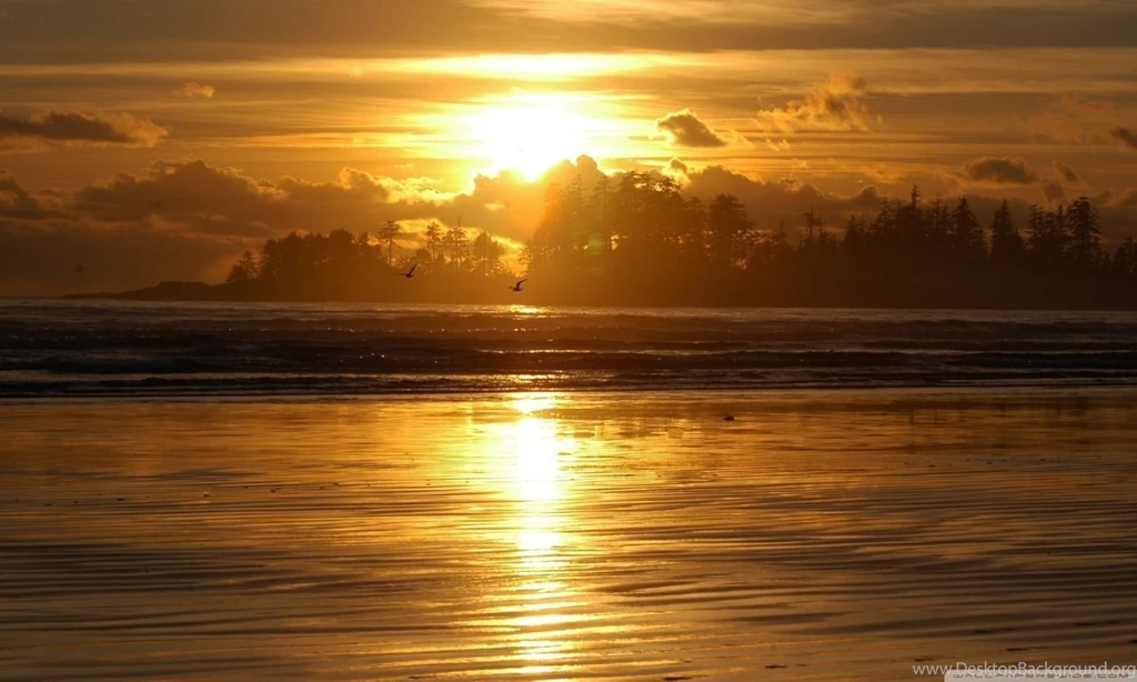 Beach Scene Sunrise HD Desktop Wallpapers : Widescreen : High ...