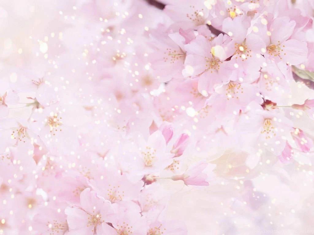 Flowers Backgrounds