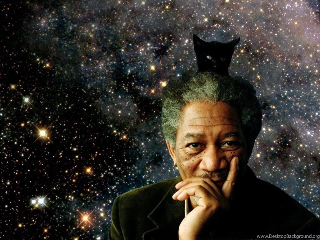 Morgan Freeman, Aliens & SETI THROUGH THE WORMHOLE