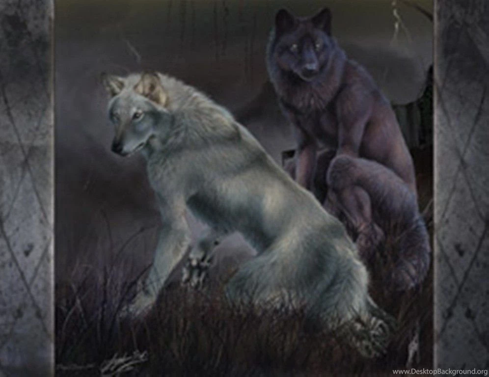 Dogs: Storm Wolves Snow Wolf Wallpapers HD For HD 16:9 High ...