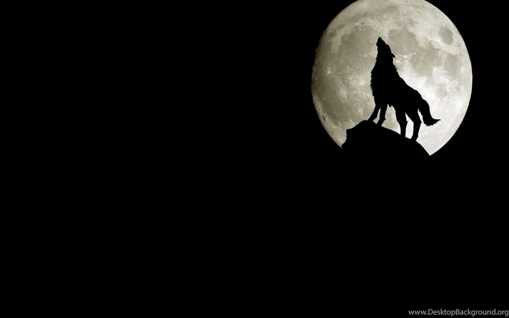 Wolf Wallpapers High Definition