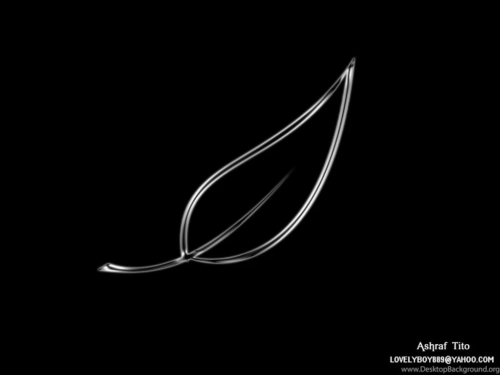 Black Xp Wallpapers   Wallpapers HD Wide