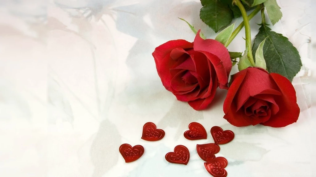Red Roses, Most Popular Rose, Rose Wallpapers, Beautiful Rose, Red ...