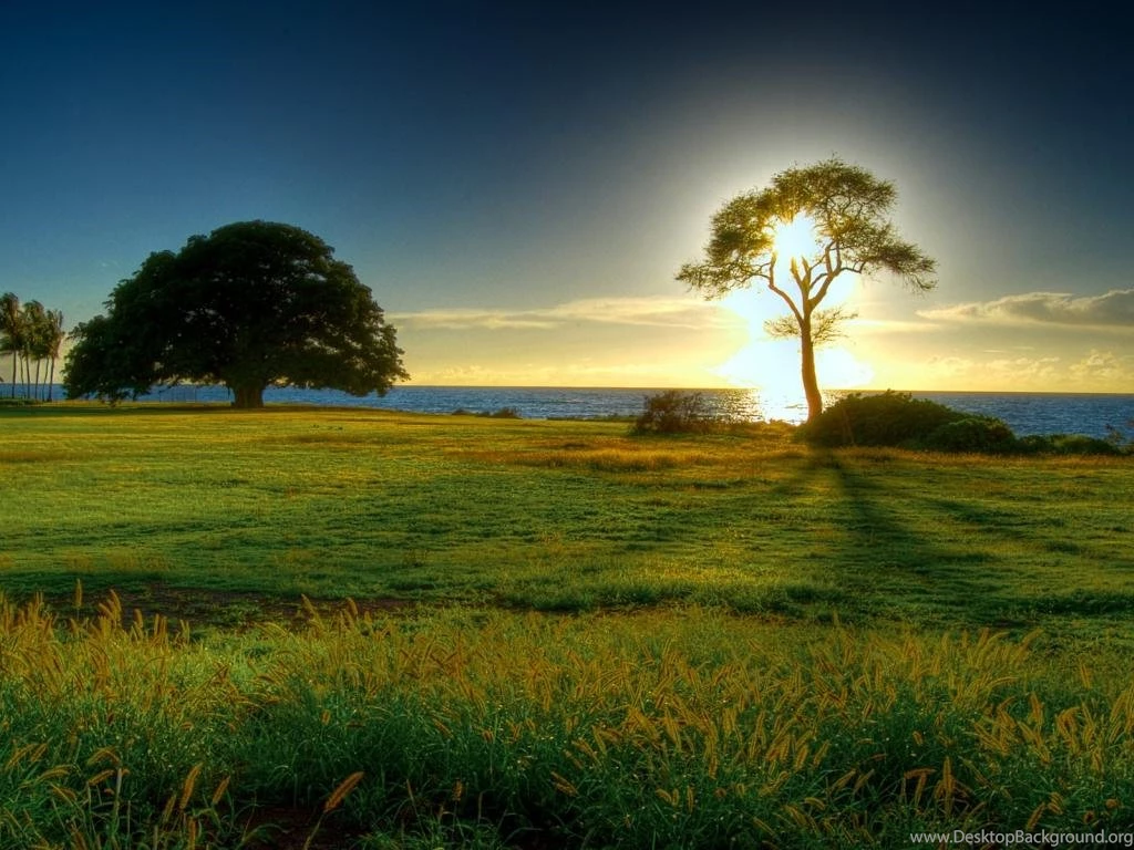 Great Nature Wallpaper: Wallpapers Hd For Desktop 1024x768 Free ...