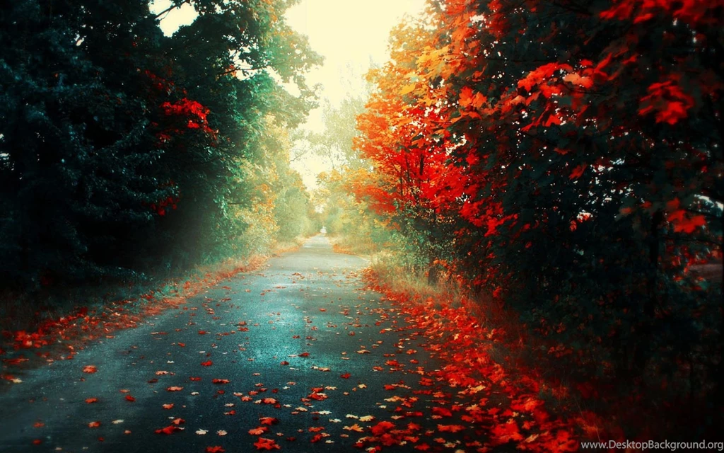 Fall Backgrounds For Computer   Wallpapers HD Wide