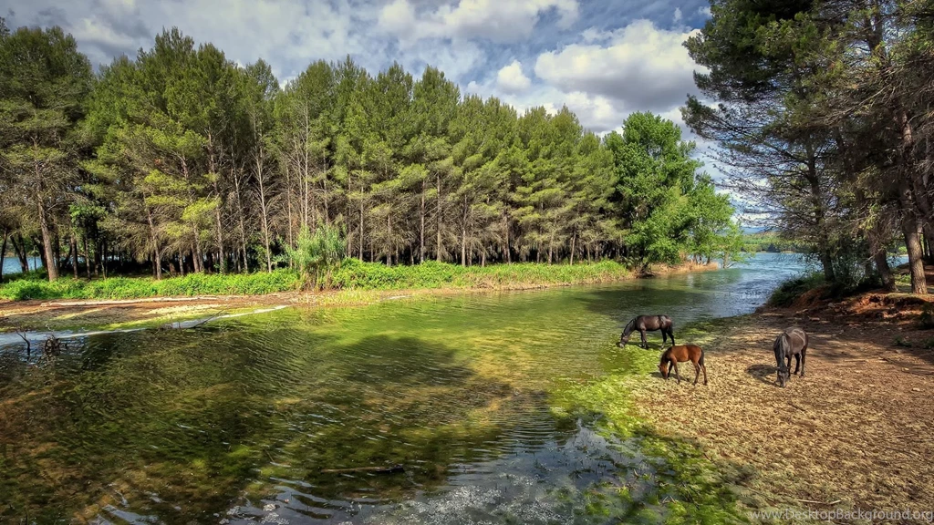 Download Wallpapers 1920x1080 Castellon, Valencia, Spain, River ...