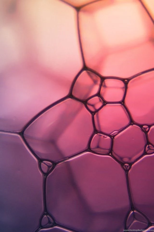 Phone Backgrounds Hd Tumblr Android Pinterest Iphone Quotes For ...