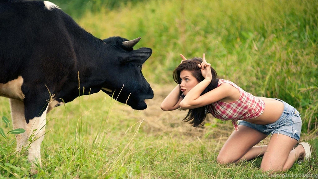 Download Cow Free Hot Girl Taunting Wallpapers 1920x1080