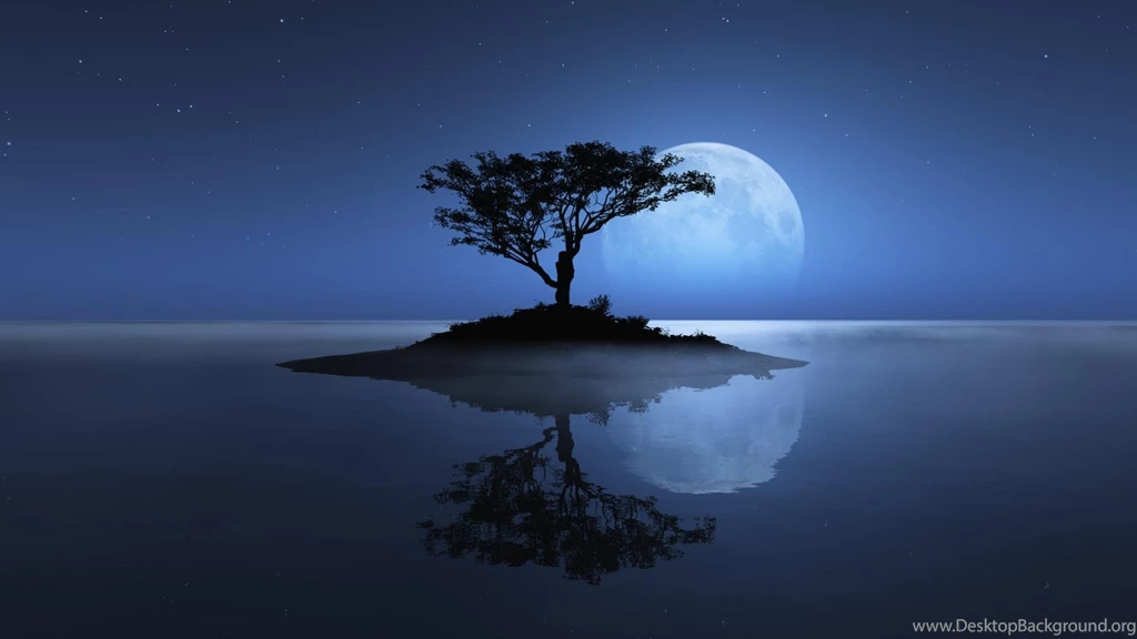 Beautiful full moon with tree night nature wallpapers hd wallpapers at night usa .jpg
