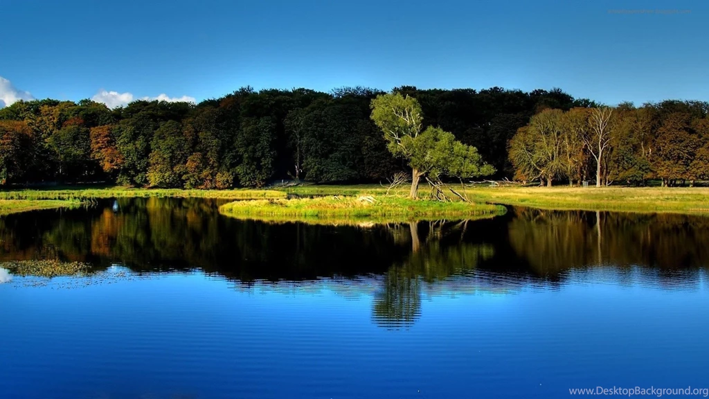 Nature Hd Wallpapers 220063
