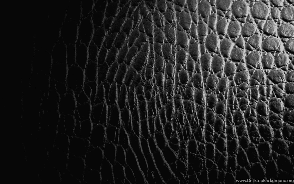 Desktop Wallpapers · Gallery · Computers · Black Rhinoceros Skin ...