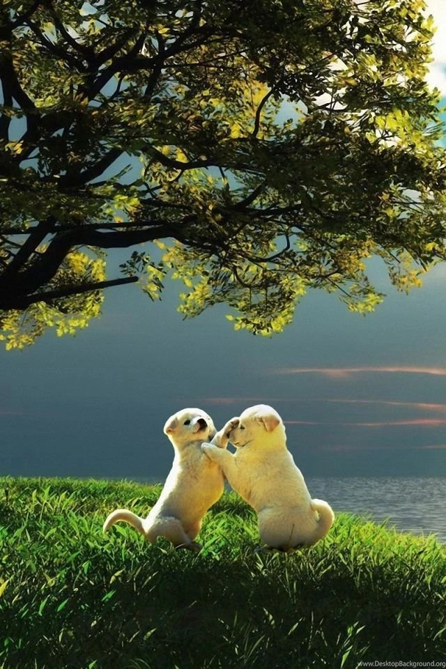 iPhone 4S, 4 Animals Wallpapers, Desktop Backgrounds HD Downloads ...