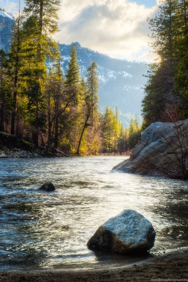 River Forest Nature Landscape iPhone Wallpapers