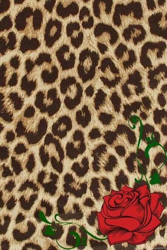 Cheetah Wallpapers For Phone