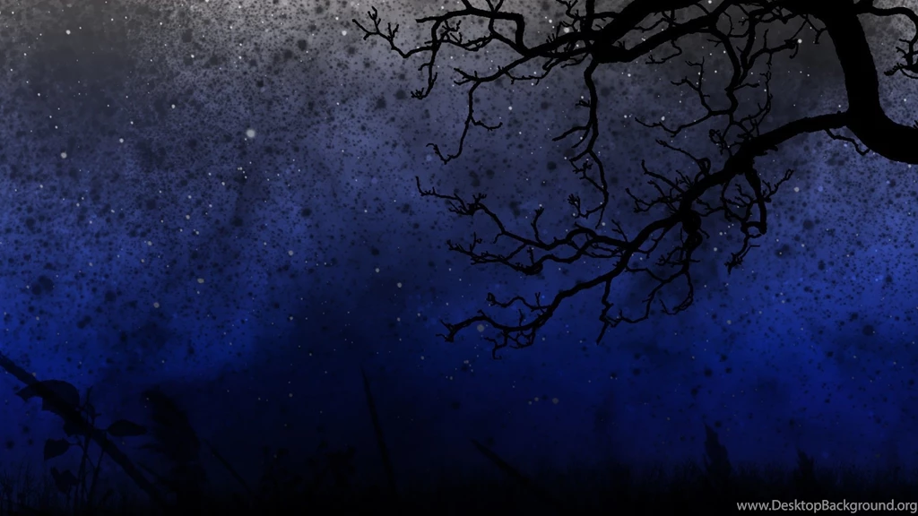 Top Night Star Hd Wallpaper Images For Pinterest
