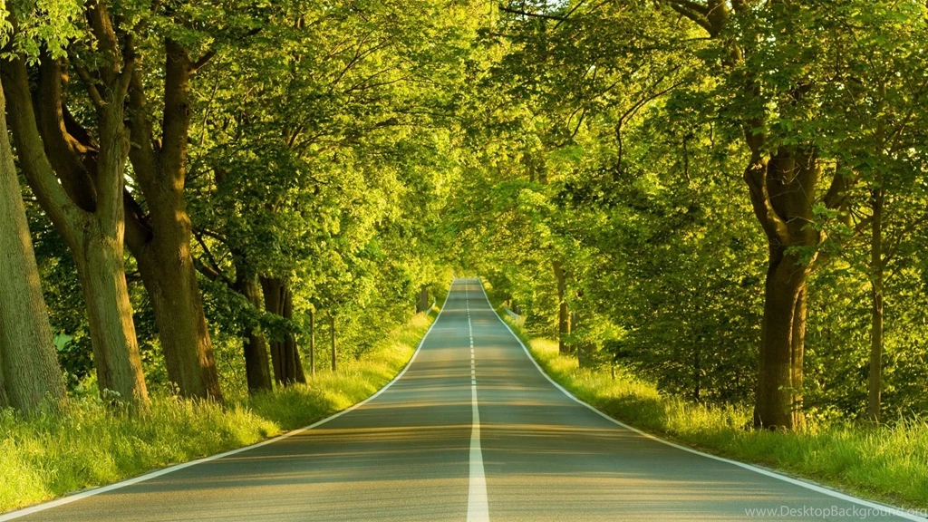 HD Wallpapers Download HD Wallpaper Backgrounds Of Your Choice
