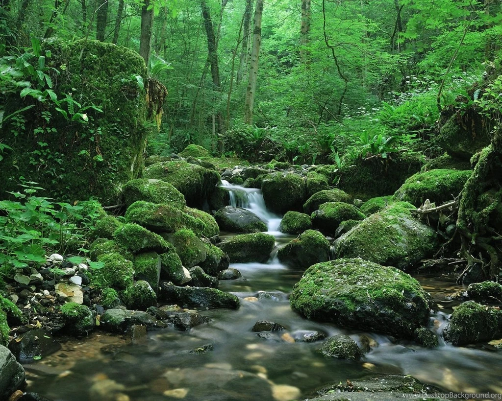 Simple World Wallpaper: Wallpapers Desktop 1280x1024