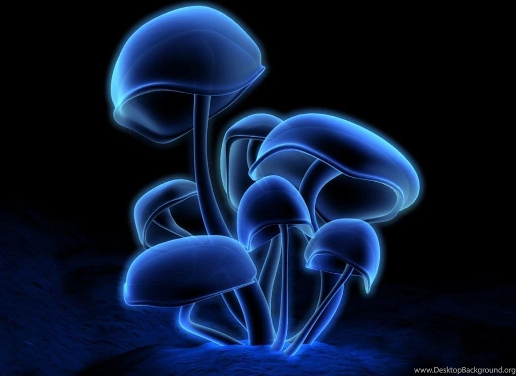 HD 3D Wallpapers For Desktop