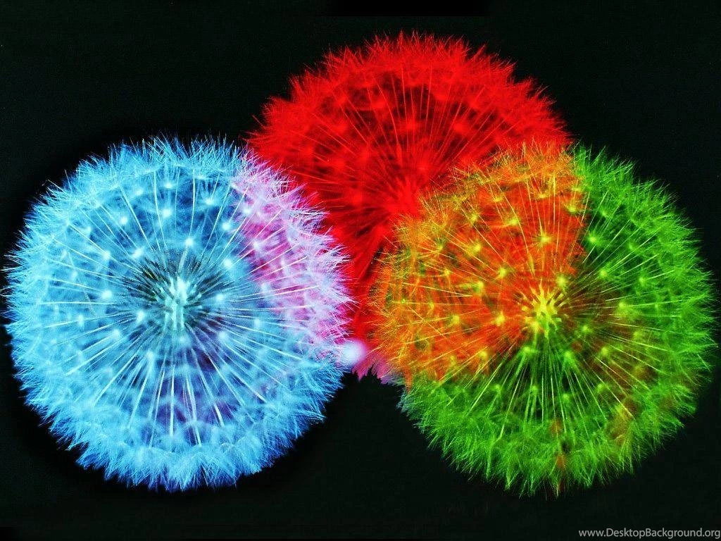 3d Desktop Wallpapers Hd Desktop Backgrounds Wallpapers Hd