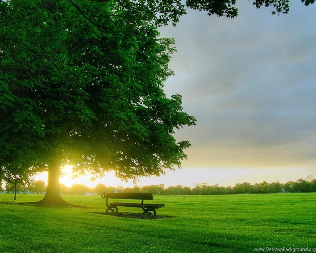 Top Nature Wallpapers 1280x1024 Images For Pinterest